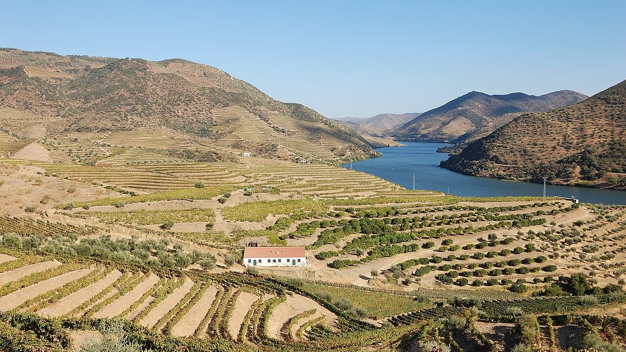 Douro Valley Day Trip, Porto