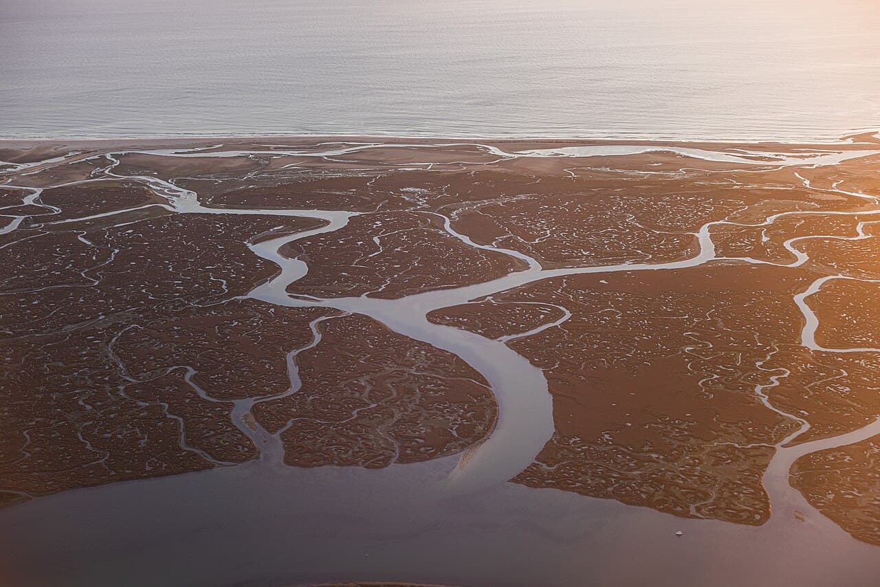 Ria Formosa Lagoon Boat Trip, Algarve