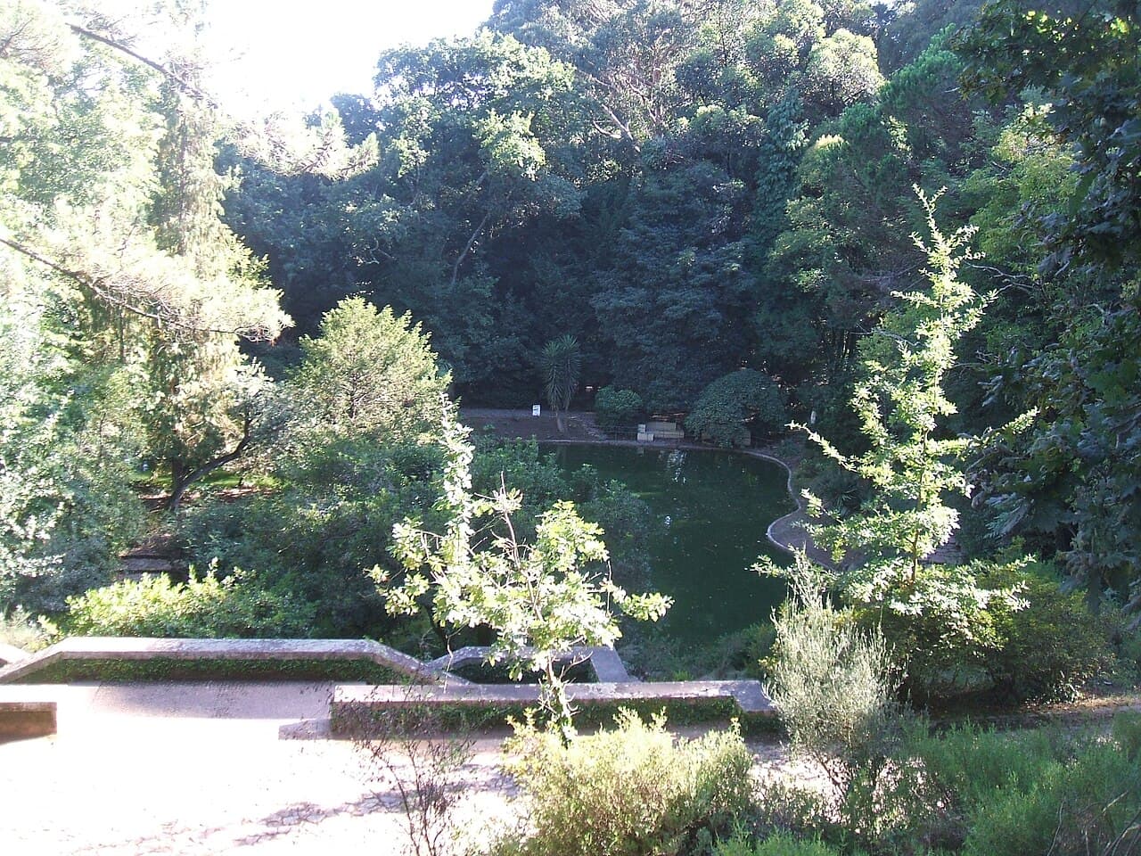 Illustrative photo of Cedofeita, Porto